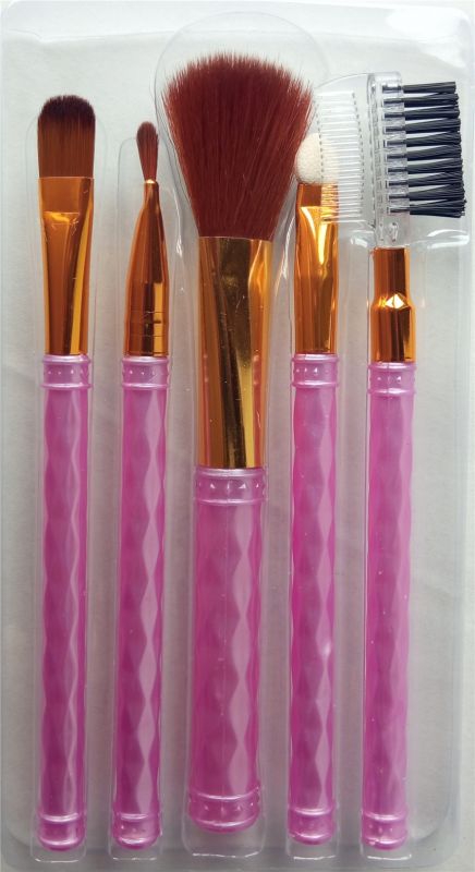 Набор кистей для макияжа Beauty brush Set из 5 шт.