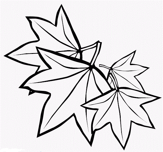 Раскраски 236 шт Времена года